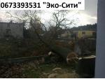 удаление деревьев и корчевание пней Киев