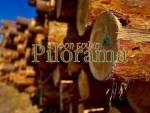Пиломатериалы от лесопереработчика+дрова сосновые(цена=качество) Смела