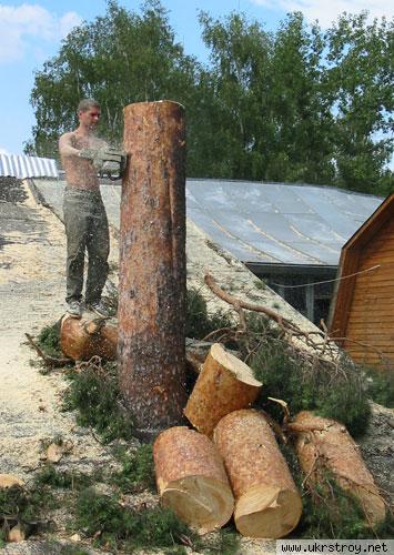 спиливание деревьев