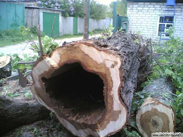 Удалить  дерево, спилить дерево
