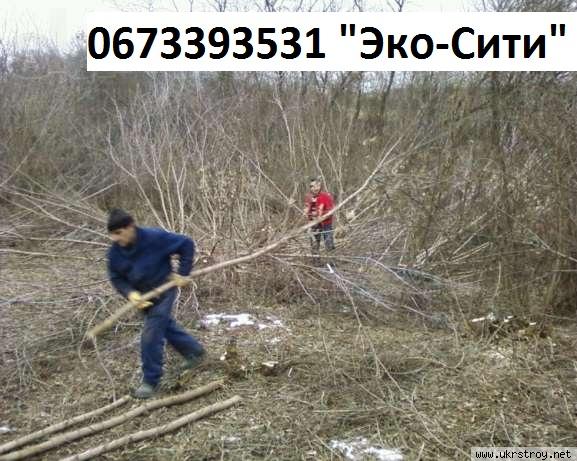уборка участков,обрезка сада, Киев уборка участков,обрезка сада, Киев