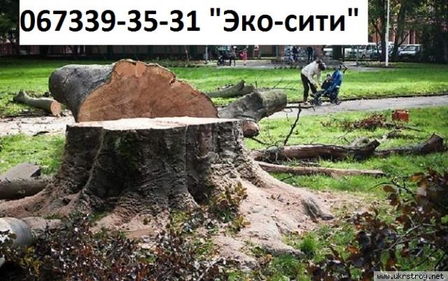 обрезка деревьев Киев