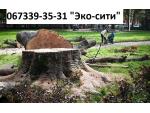 обрезка деревьев Киев Киев